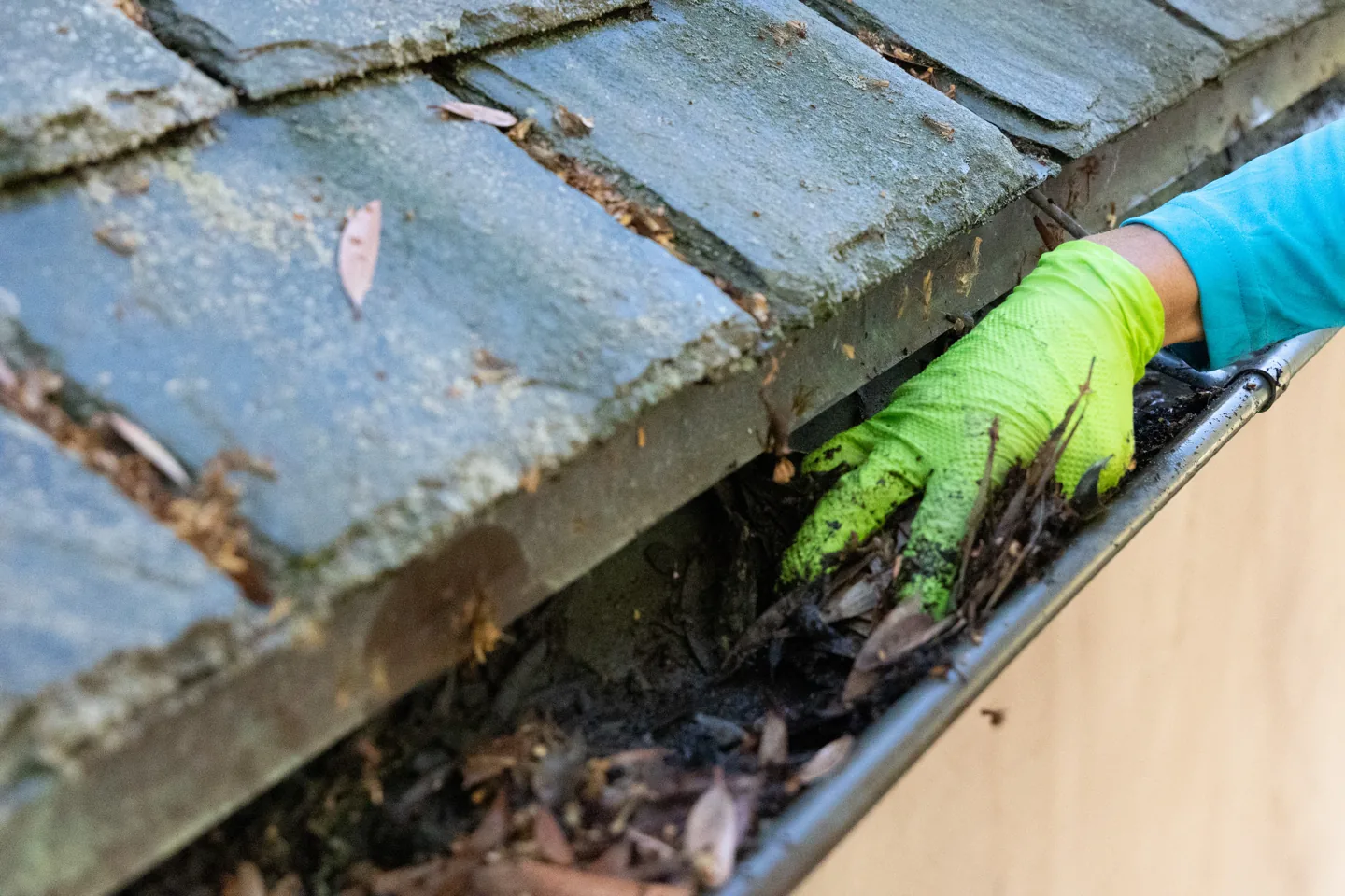 Close-up of a gloved PCS technician removing leaves from a gutter