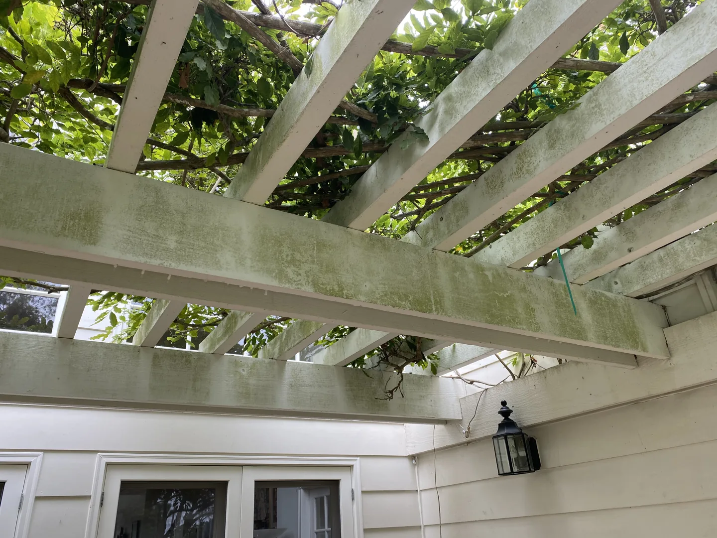 Pergola beams with visible algae before cleaning