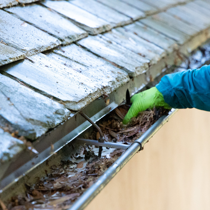 Gutter Cleaning San Diego 3